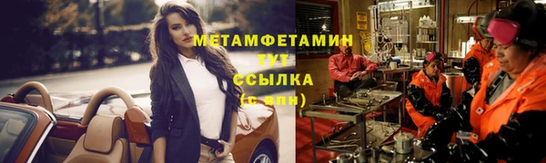 шишки Кодинск