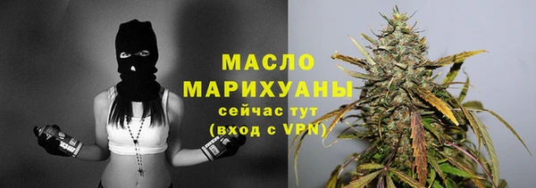 шишки Кодинск