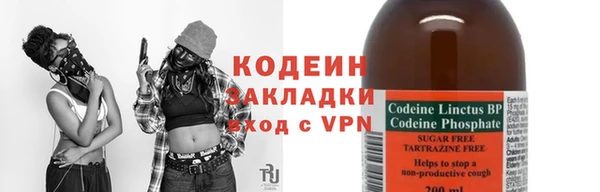 шишки Кодинск