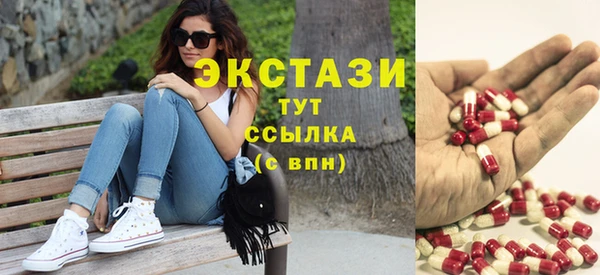 индика Корсаков