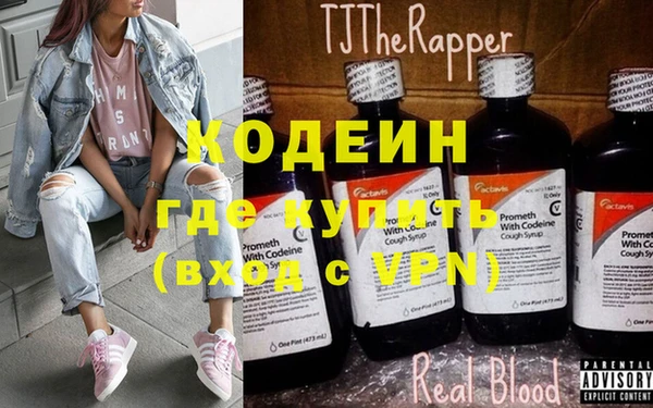 шишки Кодинск