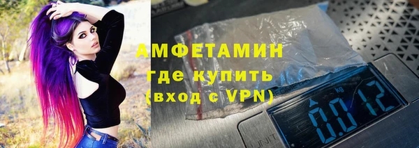 шишки Кодинск