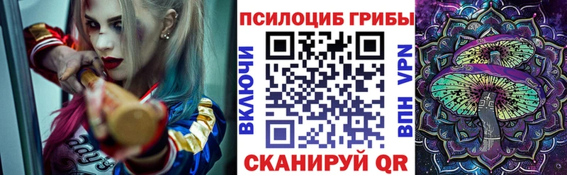 Купить  Городовиковск  Галлюциногенные грибы мицелий 